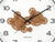 Närbild: synligt urverk i väggklocka och svarta visare