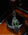 Casio Edifice Herrenuhr am Metallband mit grünem Zifferblatt und goldfarbenen Zeigern