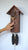 Rombach & Haas CLASSIC SLM3H-10 Väggklocka Naturträ • Mekaniskt 8-dagarsverk • Original Schwarzwälder Gökur