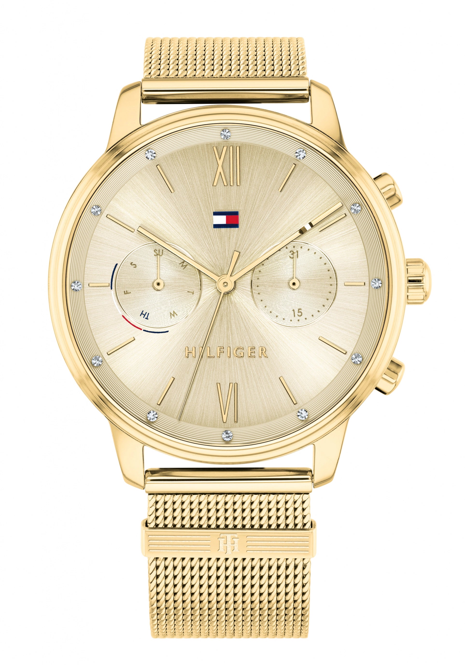 Tommy Hilfiger Blake 7613272415286 Damenuhr Gold • Quarzwerk • Feminines Casual-Design