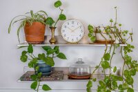 Bordsklocka mässing kvartsklockverk - Hermle Modell: 22986-002100