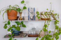 Bordsklocka aluminium skelettverk - Hermle Modell: 23025-Q70721