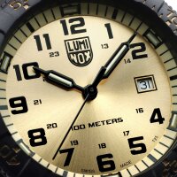 Herrklocka SEA Turtle Giant - Luminox Modell: XS.0325.GP