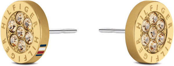 Örhängen av rostfritt stål - Tommy Hilfiger Modell: 2780566