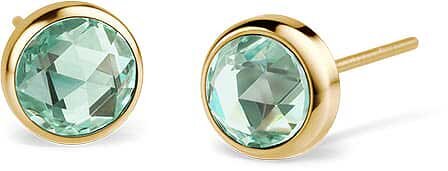 Örhängen i rostfritt stål - Bering Jewelry Modell: 722-2140-05