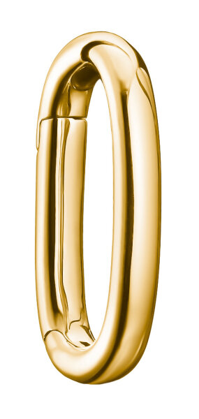 Thomas Sabo Charm Club Connect Link vergoldet