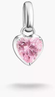 Charm-Anhänger Herz Geburtsstein Januar Connect Silber