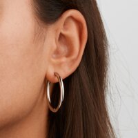 05073-01 Titanium oorringen 31 mm